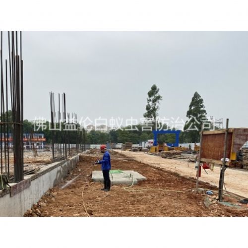 南边地基防白蚁工程