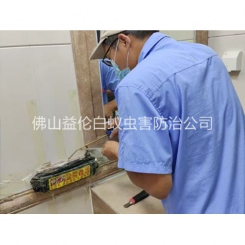 六和诱杀箱施药灭杀白蚁工程