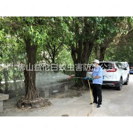 大塘社区四害消杀工程