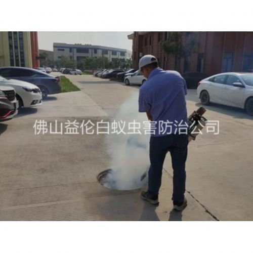 六和登革热防控消杀工程